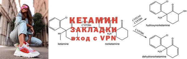 прущая мука Вяземский