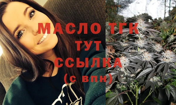 прущая мука Вяземский