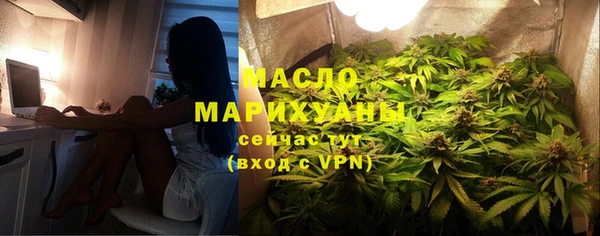 прущая мука Вяземский