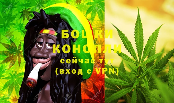 прущая мука Вяземский