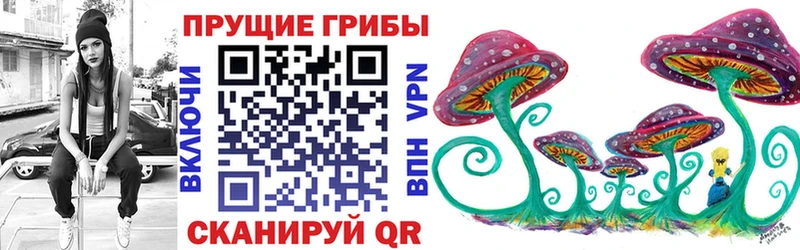 Псилоцибиновые грибы Psilocybe  Купить  Катайск 